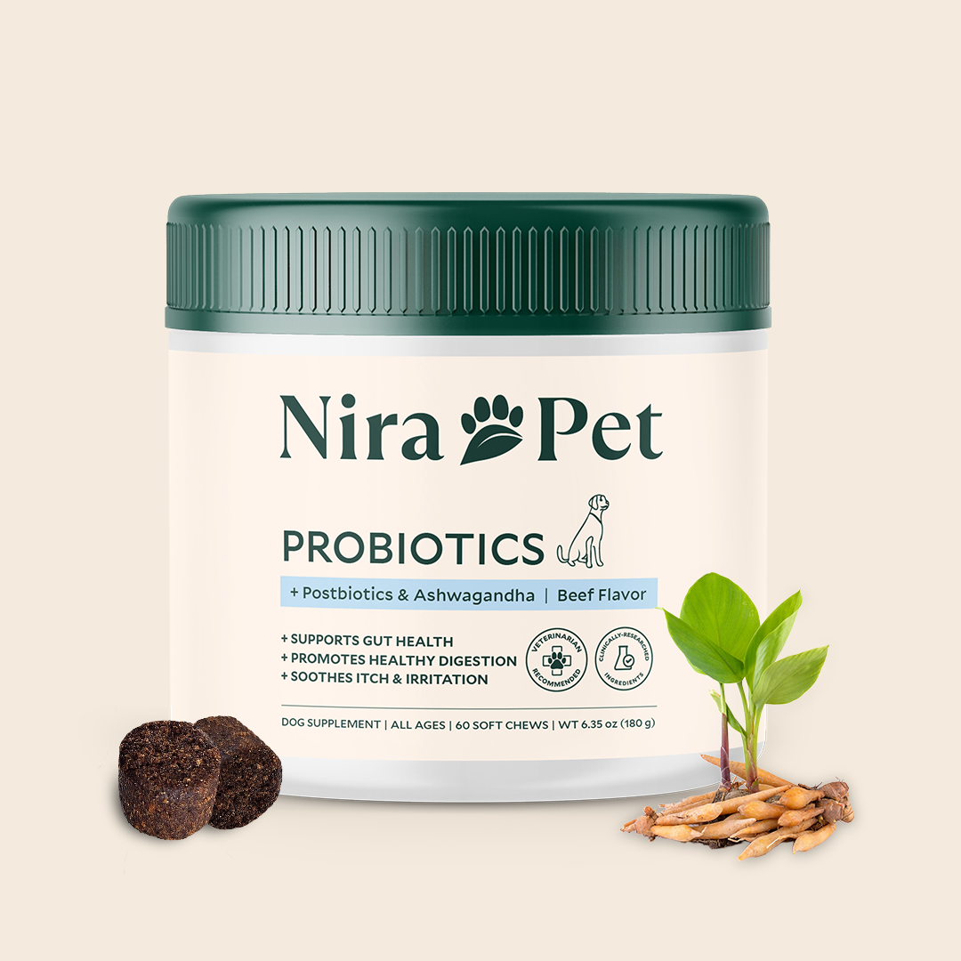 Probiotics for gut & digestive health - Manage itching and licking