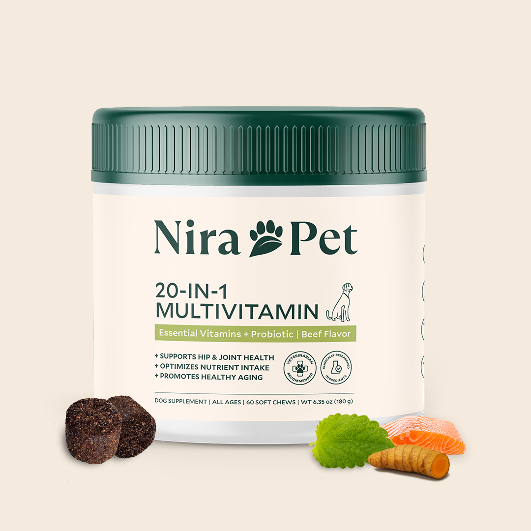 20-In-1 Multivitamin