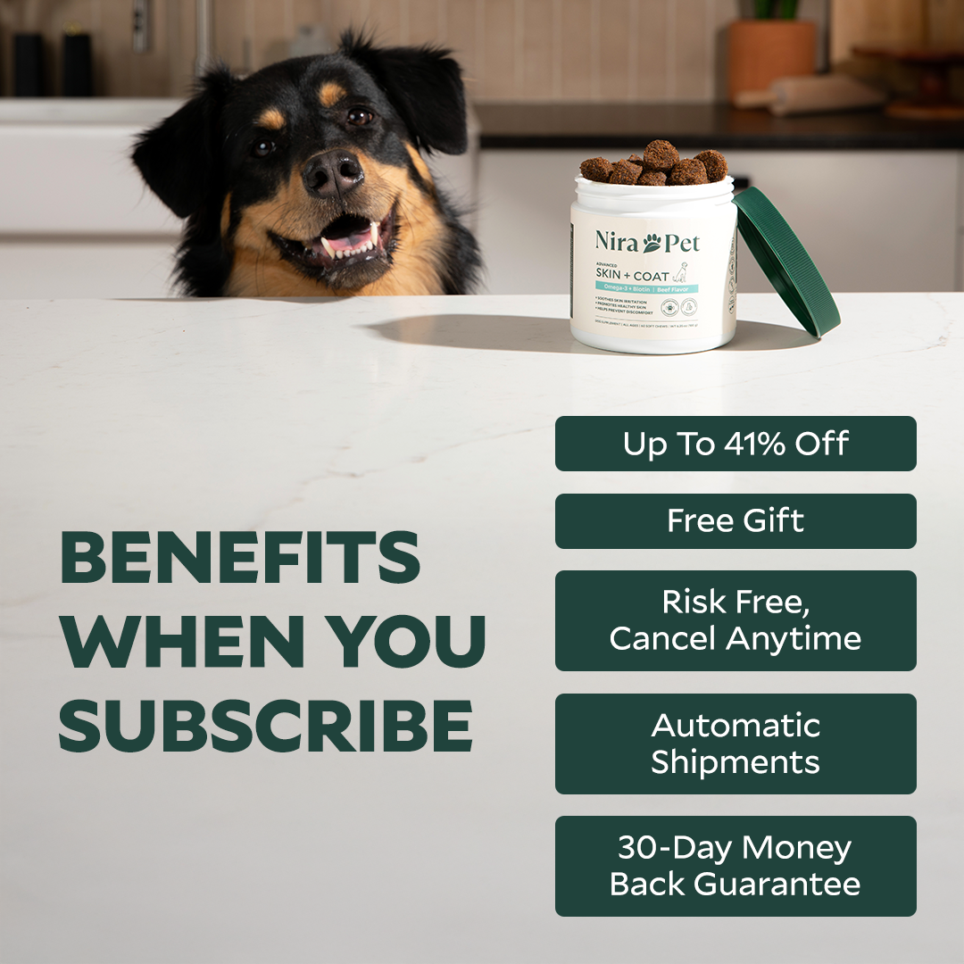 Probiotics For Gut & Digestive Health - Itching, Licking & Skin Irritation