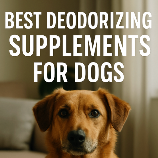 Best Deodorizing Supplements for Dogs