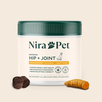 Hip + Joint
