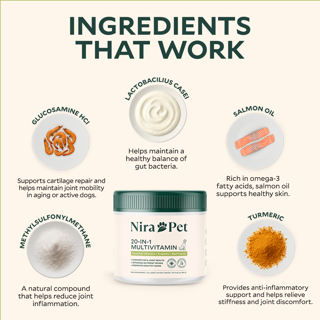 20-In-1 Multivitamin