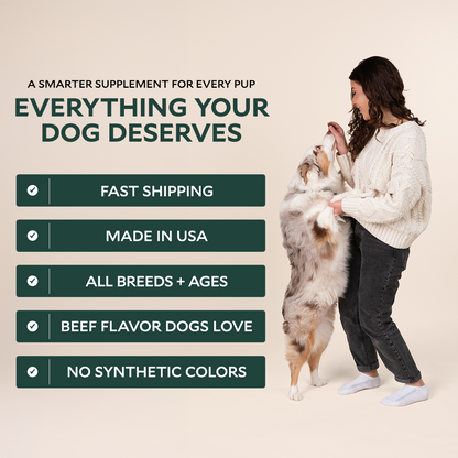 Everyday Essentials