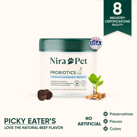 Probiotics For Gut & Digestive Health - Itching, Licking & Skin Irritation - Natural Beef Flavor: 60 Count