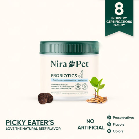 Probiotics for gut & digestive health - Manage itching and licking