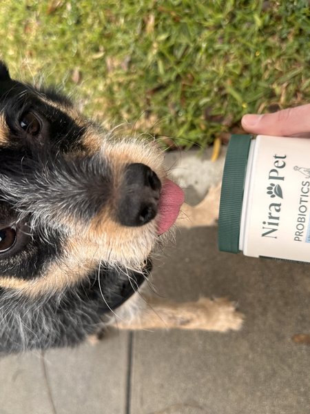 Verified Nira Pet customer photo
